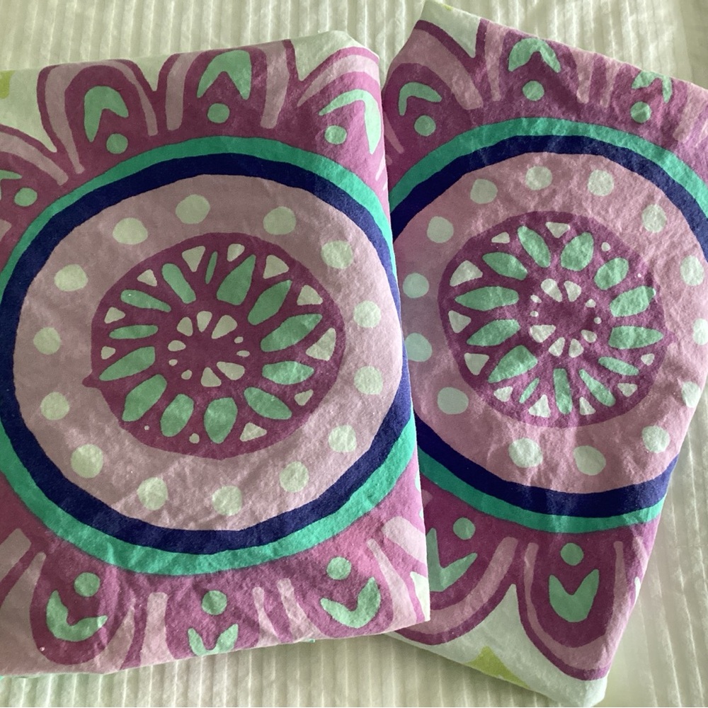 Pottery Barn Kids Standard Shams (2)